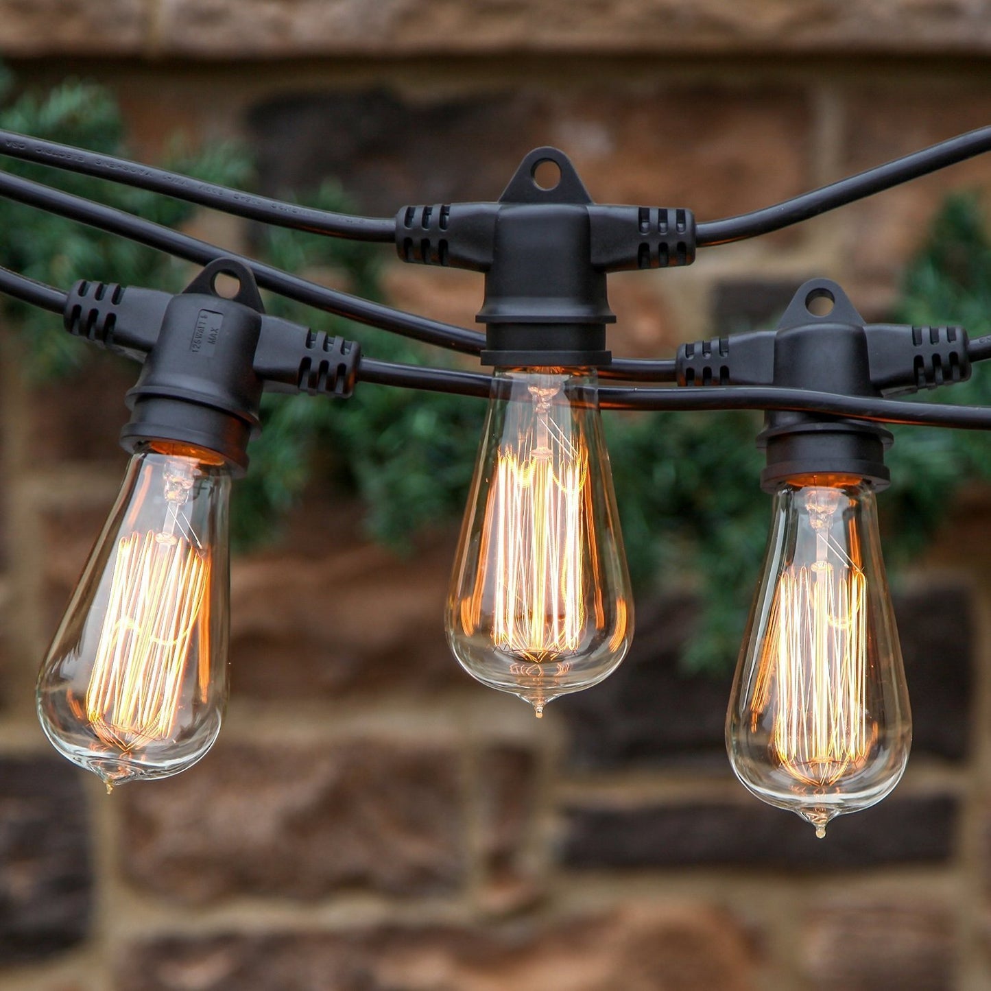 Ambience Pro LED Plug-in String Lights