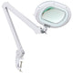 White LightView XL Clamp